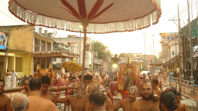 kanchi Devarajaswami temple kodai utsavam day 4 2015-11