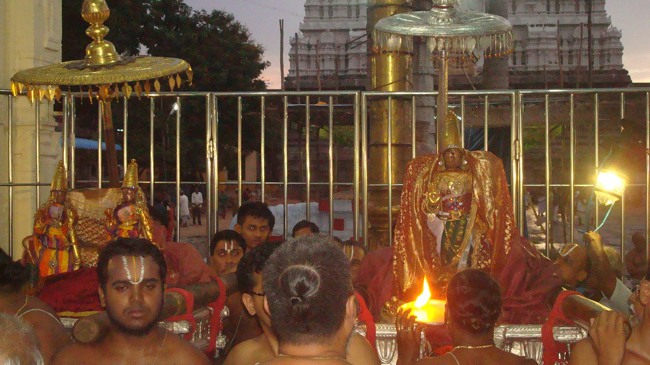 kanchi Devarajaswami temple kodai utsavam day 4 2015-14