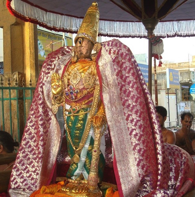 kanchi Devarajaswami temple kodai utsavam day 5 2015-00