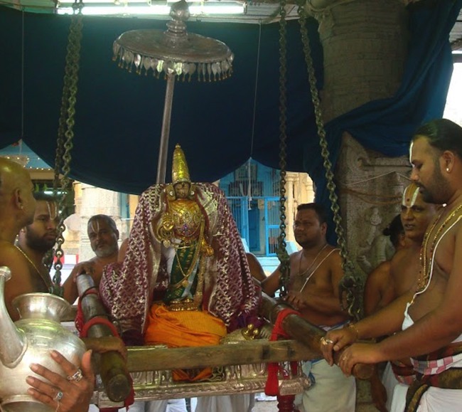 kanchi Devarajaswami temple kodai utsavam day 5 2015-05