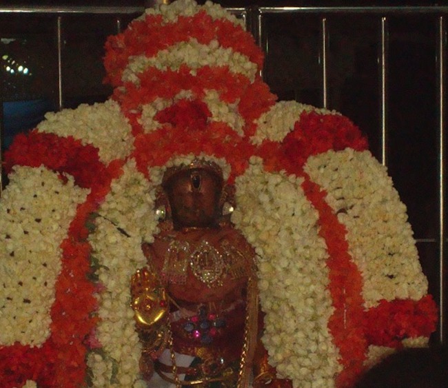 kanchi Devarajaswami temple kodai utsavam day 5 2015-14