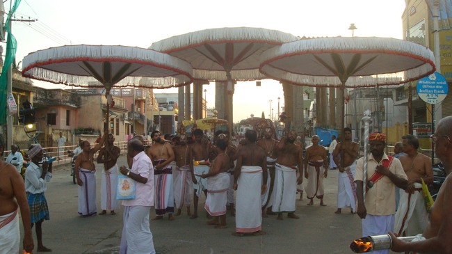 kanchi Devarajaswami temple kodai utsavam day 5 2015-19