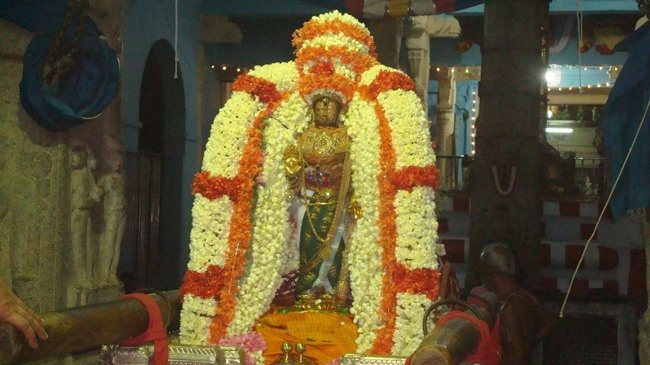 kanchi Devarajaswami temple kodai utsavam day 5 2015-23