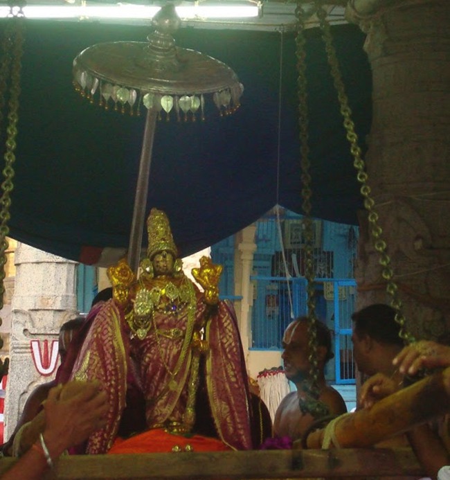 kanchi Devarajaswami temple kodai utsavam day 6 2015-05