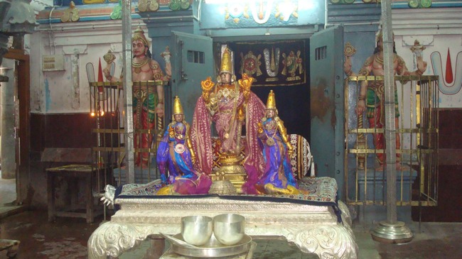 kanchi Devarajaswami temple kodai utsavam day 6 2015-14
