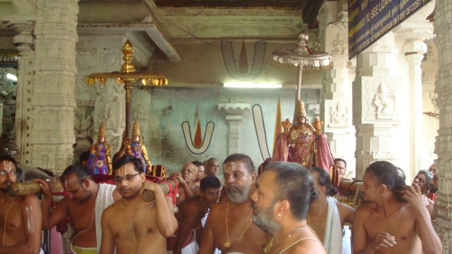 kanchi Devarajaswami temple kodai utsavam day 6 2015-17