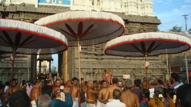 kanchi Devarajaswami temple kodai utsavam day 6 2015-22