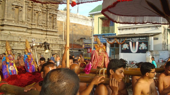 kanchi Devarajaswami temple kodai utsavam day 6 2015-23
