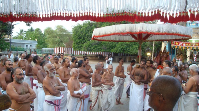kanchi Devarajaswami temple kodai utsavam day 6 2015-26