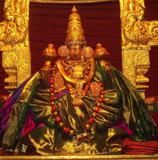 kanchi Devarajaswami temple kodai utsavam day 7 2015-06