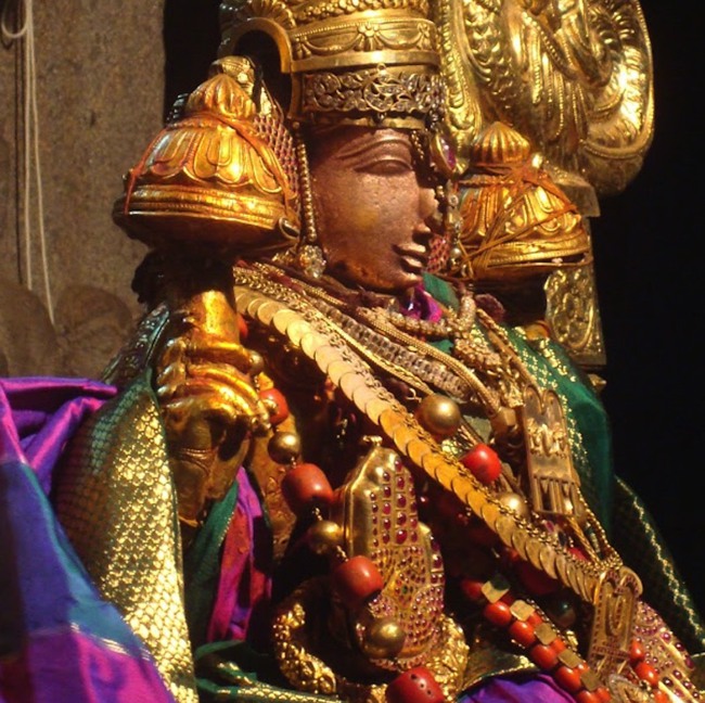 kanchi Devarajaswami temple kodai utsavam day 7 2015-12