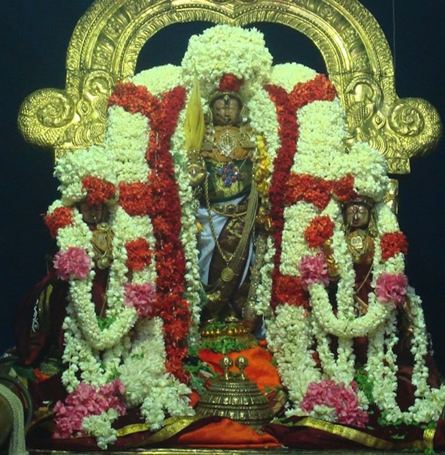 kanchi Devarajaswami temple kodai utsavam day 7 2015-14
