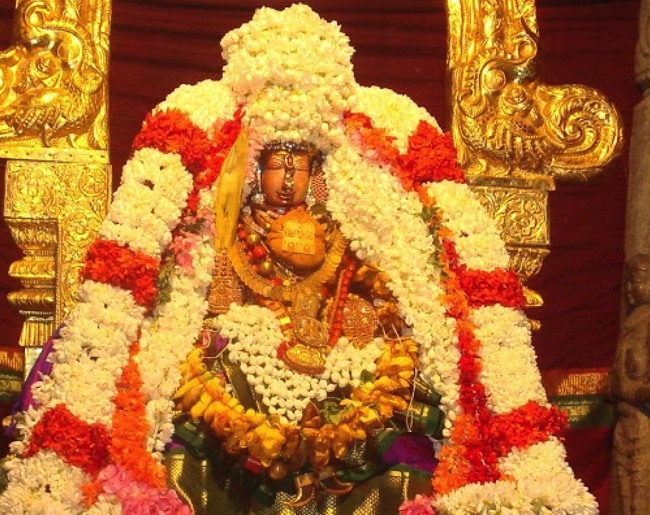 kanchi Devarajaswami temple kodai utsavam day 7 2015-17