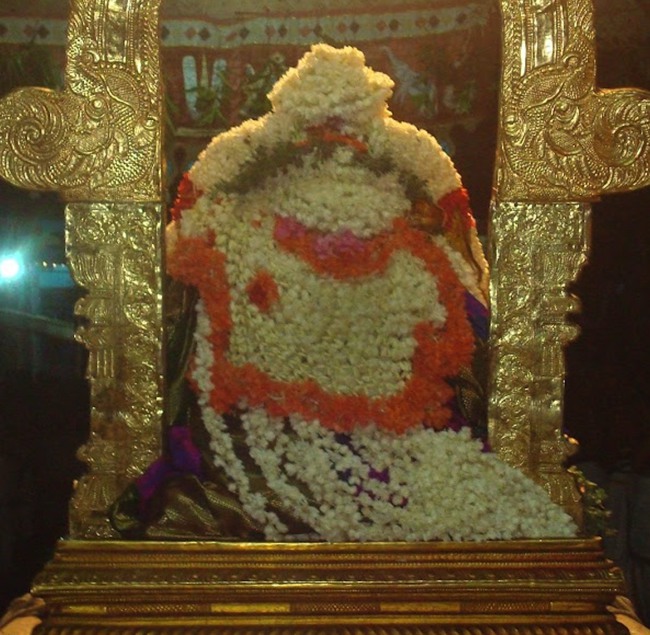 kanchi Devarajaswami temple kodai utsavam day 7 2015-19