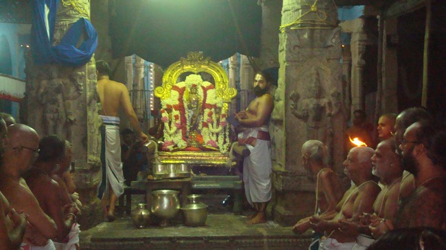 kanchi Devarajaswami temple kodai utsavam day 7 2015-22