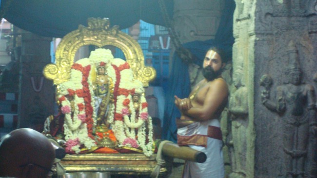 kanchi Devarajaswami temple kodai utsavam day 7 2015-23