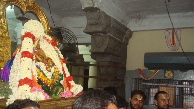 kanchi Devarajaswami temple kodai utsavam day 7 2015-29
