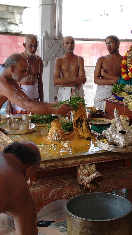 sri narasingapuram temple theerthavari 11