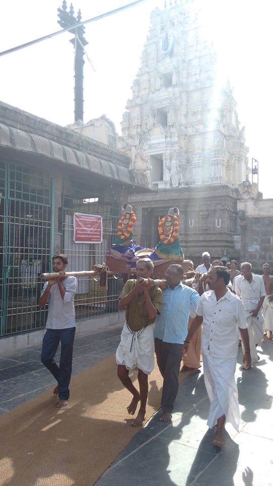 sri narasingapuram temple theerthavari 20