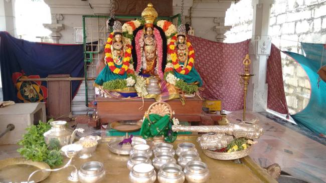 sri narasingapuram temple theerthavari 21