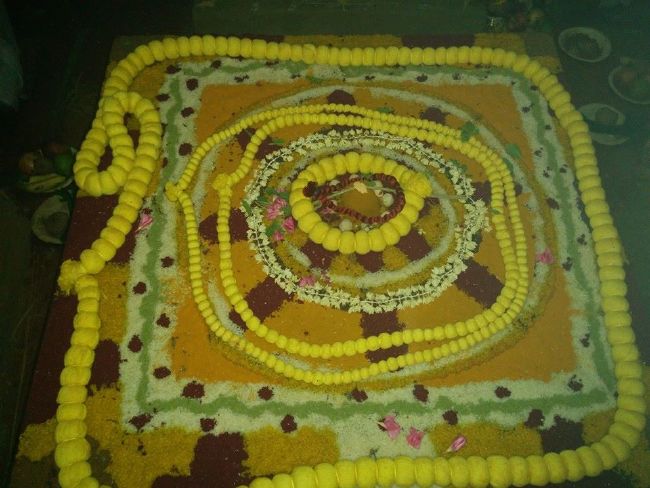 Alathurai Sri venugopalaswami temple pavithrotsavam-2015 10