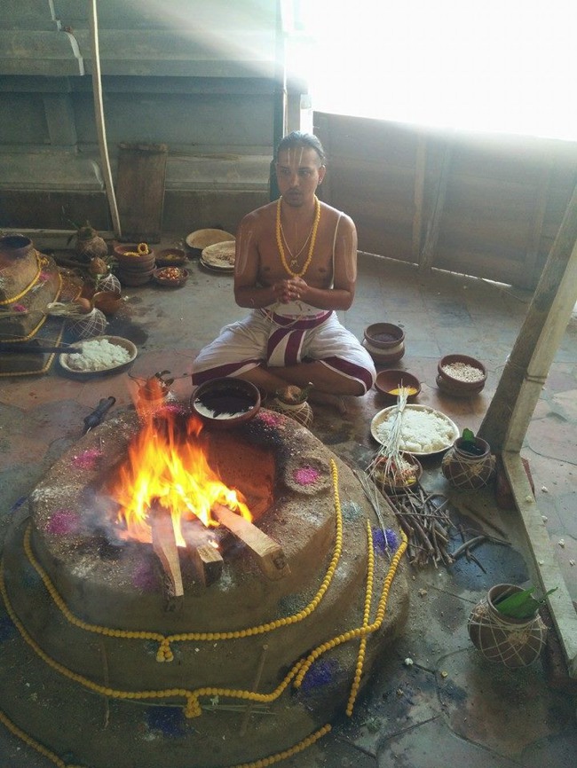 Ammoor Sri  Adhikesava  Perumal Temple Pavithrotsavam 2015-01