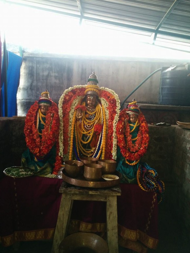 Ammoor Sri  Adhikesava  Perumal Temple Pavithrotsavam 2015-03