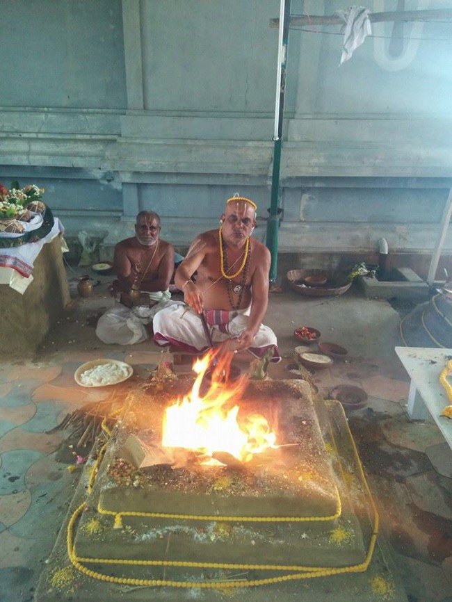 Ammoor Sri  Adhikesava  Perumal Temple Pavithrotsavam 2015-06