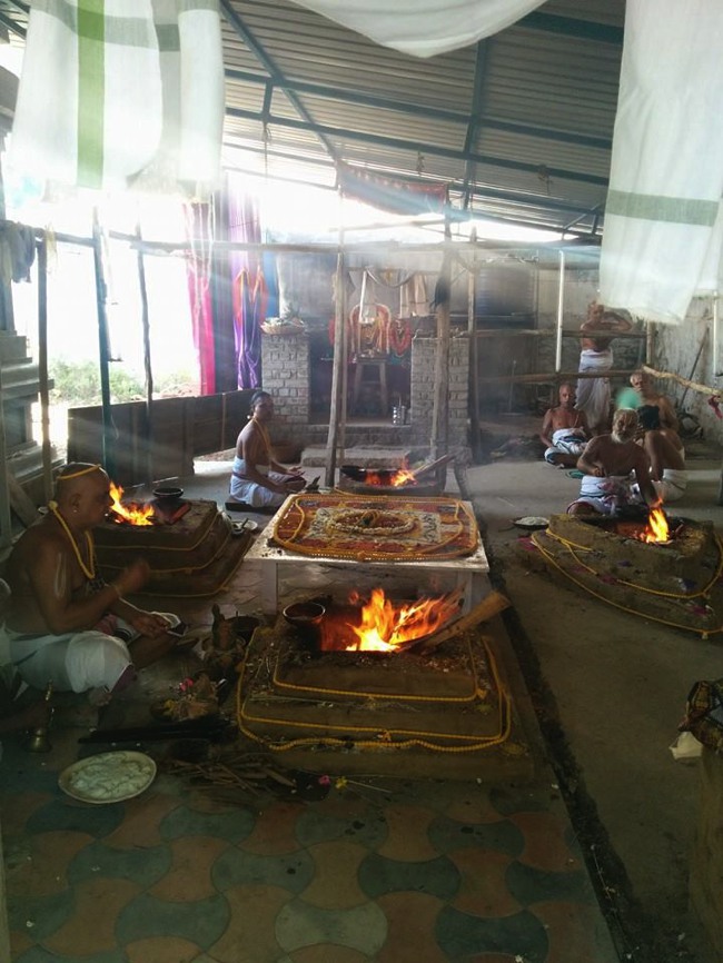 Ammoor Sri  Adhikesava  Perumal Temple Pavithrotsavam 2015-07