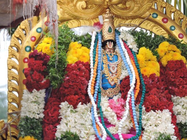 Aviyur Sri Navaneetha Krishna Perumal Temple Pavithrotsavam Day 3-2015-35