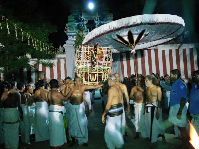 HH 46th Srimad Azhagiyasingar Pattinapravesam at Kalyanapuram 2015 03