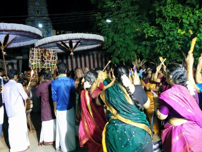 HH 46th Srimad Azhagiyasingar Pattinapravesam at Kalyanapuram 2015 18
