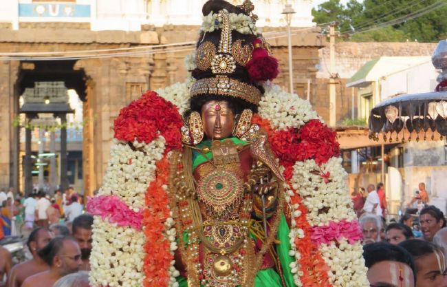KaNchi Sri Devarajaswami Temple Thiruvadipooram Utsavam Oorkoolam  -2015 22