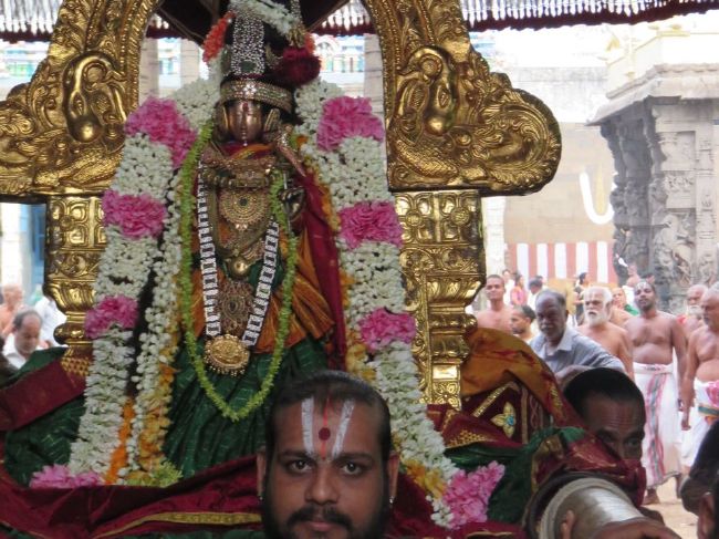 Kanchi Devarajaswami Temple Thiruvadipooram Utsavam day 5 -2015 11