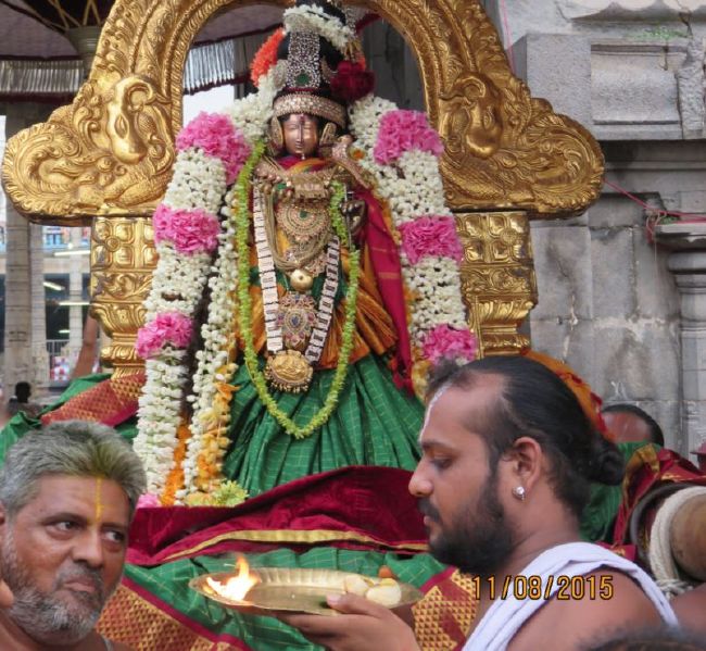 Kanchi Devarajaswami Temple Thiruvadipooram Utsavam day 5 -2015 12