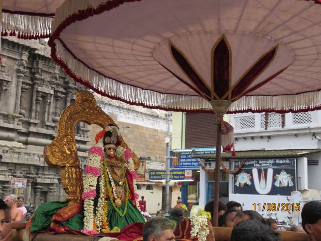 Kanchi Devarajaswami Temple Thiruvadipooram Utsavam day 5 -2015 14