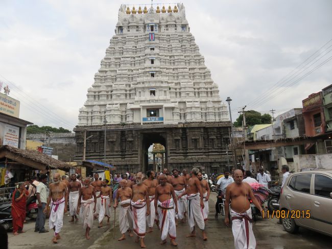Kanchi Devarajaswami Temple Thiruvadipooram Utsavam day 5 -2015 18