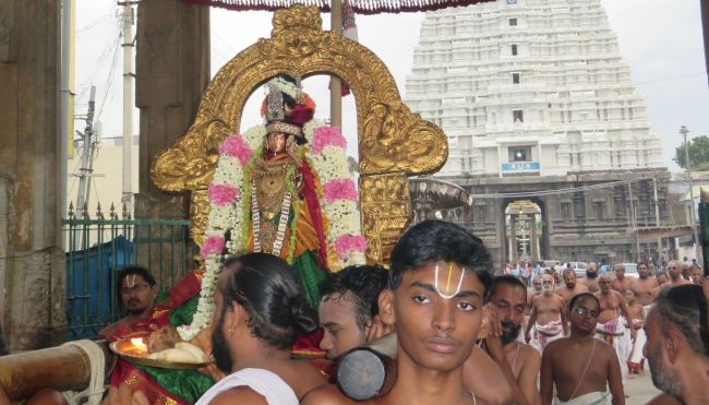 Kanchi Devarajaswami Temple Thiruvadipooram Utsavam day 5 -2015 20