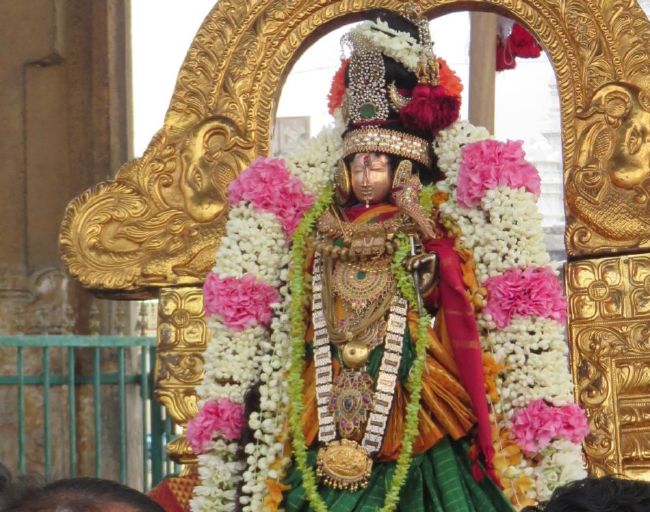 Kanchi Devarajaswami Temple Thiruvadipooram Utsavam day 5 -2015 21