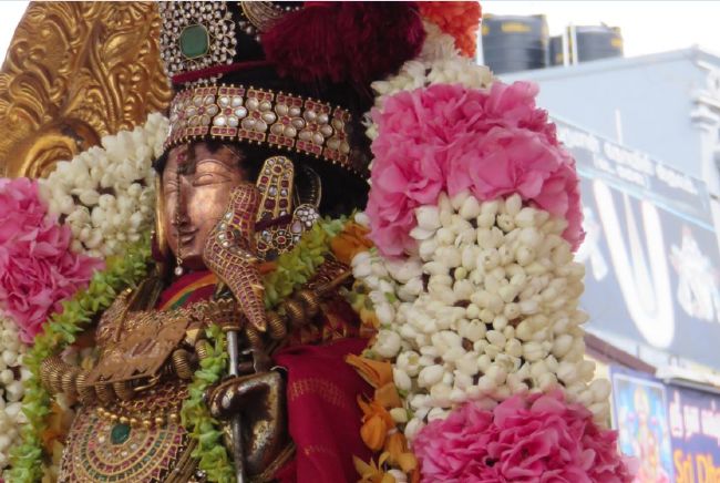 Kanchi Devarajaswami Temple Thiruvadipooram Utsavam day 5 -2015 23