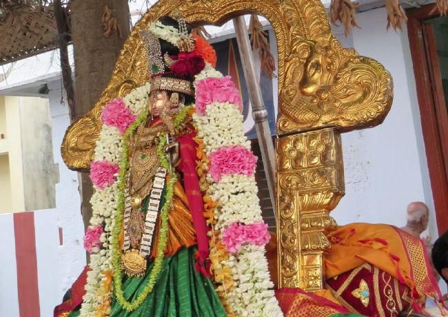 Kanchi Devarajaswami Temple Thiruvadipooram Utsavam day 5 -2015 24