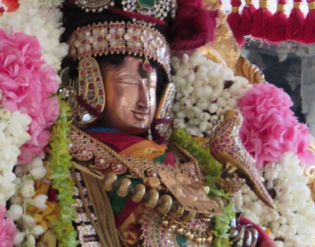 Kanchi Devarajaswami Temple Thiruvadipooram Utsavam day 5 -2015 30