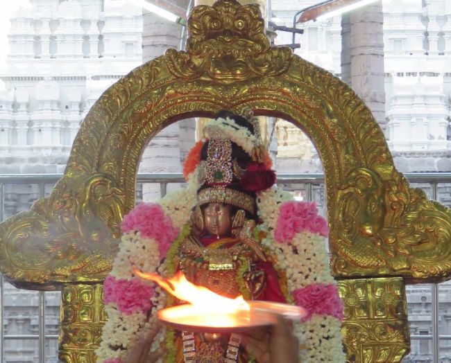Kanchi Devarajaswami Temple Thiruvadipooram Utsavam day 5 -2015 33