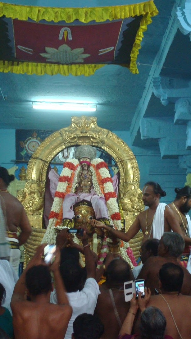 Kanchi Devarajaswami temple Aadi Garuda Sevai 2015-00