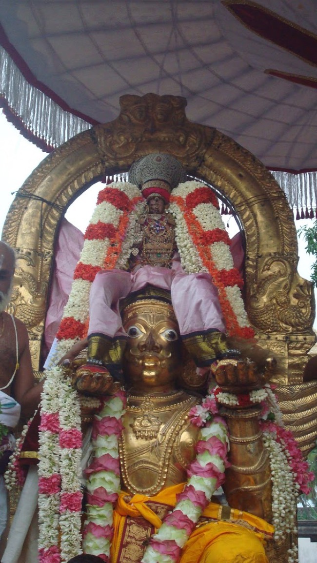 Kanchi Devarajaswami temple Aadi Garuda Sevai 2015-04
