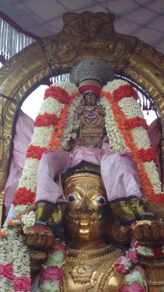 Kanchi Devarajaswami temple Aadi Garuda Sevai 2015-05
