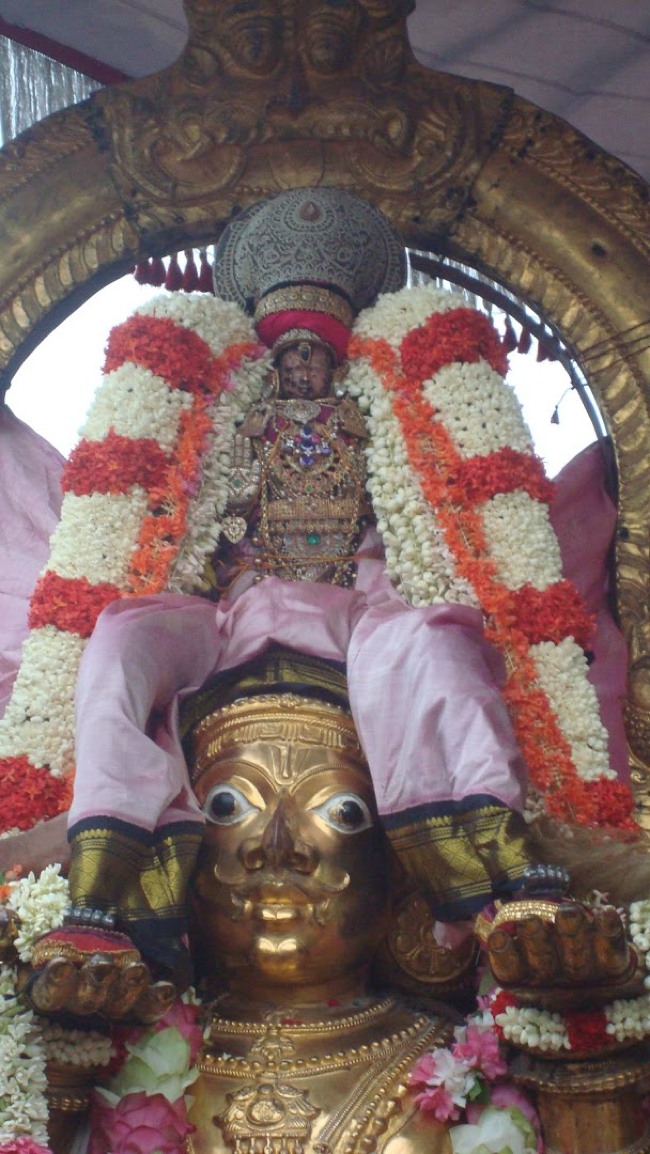Kanchi Devarajaswami temple Aadi Garuda Sevai 2015-06