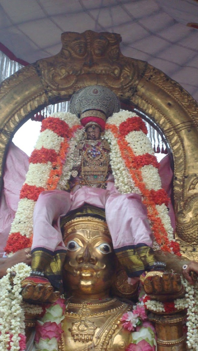 Kanchi Devarajaswami temple Aadi Garuda Sevai 2015-07