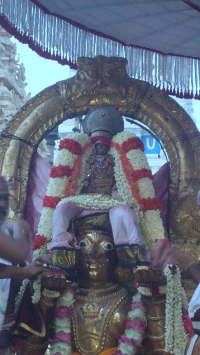 Kanchi Devarajaswami temple Aadi Garuda Sevai 2015-12