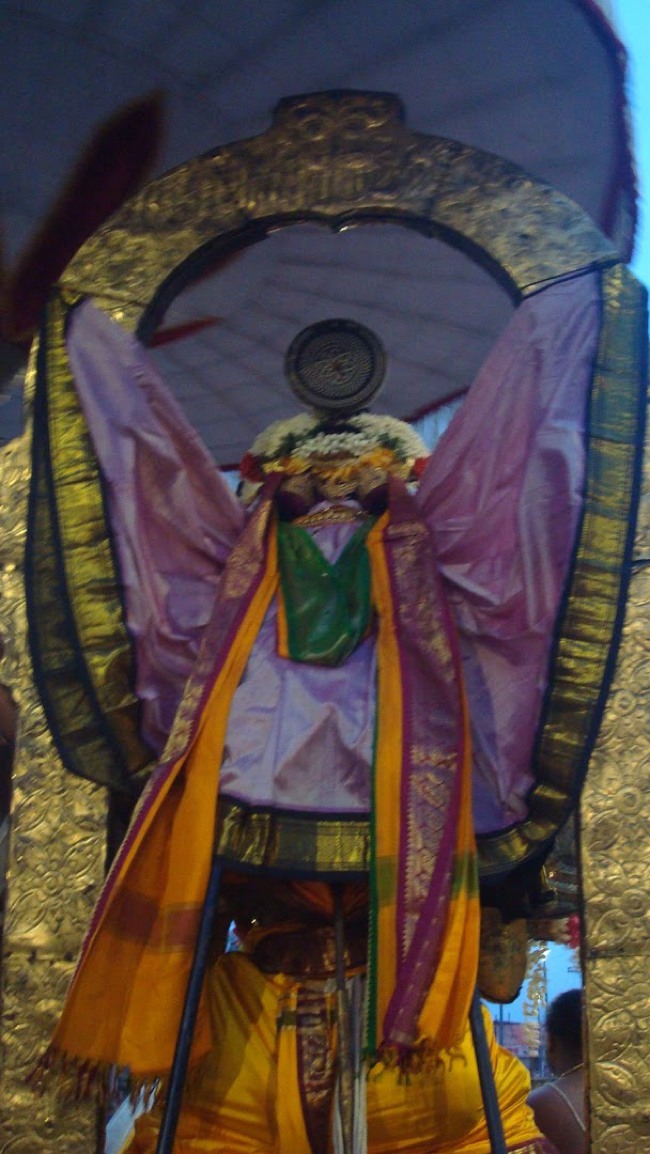 Kanchi Devarajaswami temple Aadi Garuda Sevai 2015-16